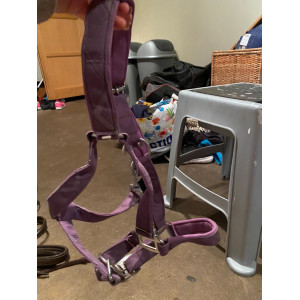 Licol violet hkm