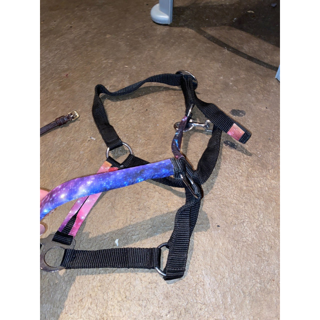 Ensemble licol + frange anti mouche