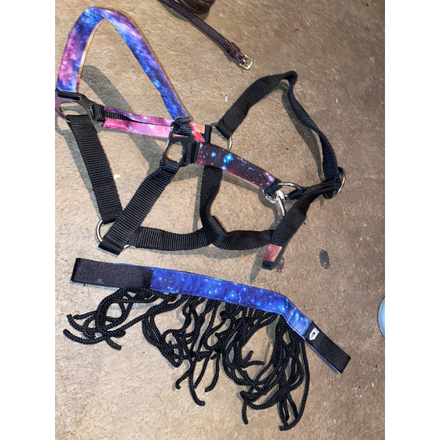 Ensemble licol + frange anti mouche