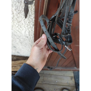 Filet noir taille poney