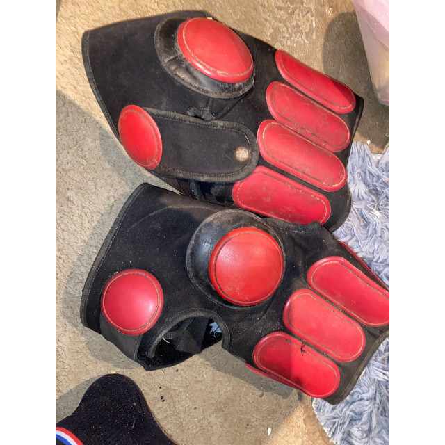 Protège genoux horseball