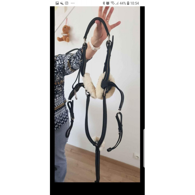 collier de chasse