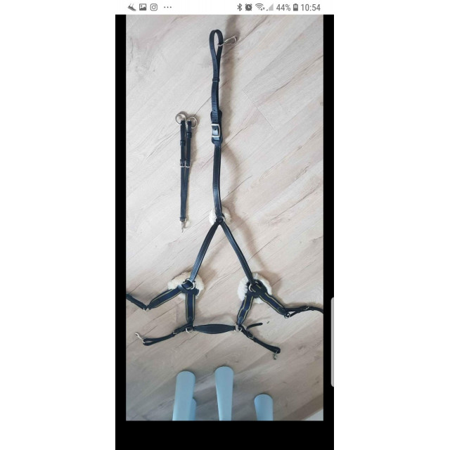 collier de chasse