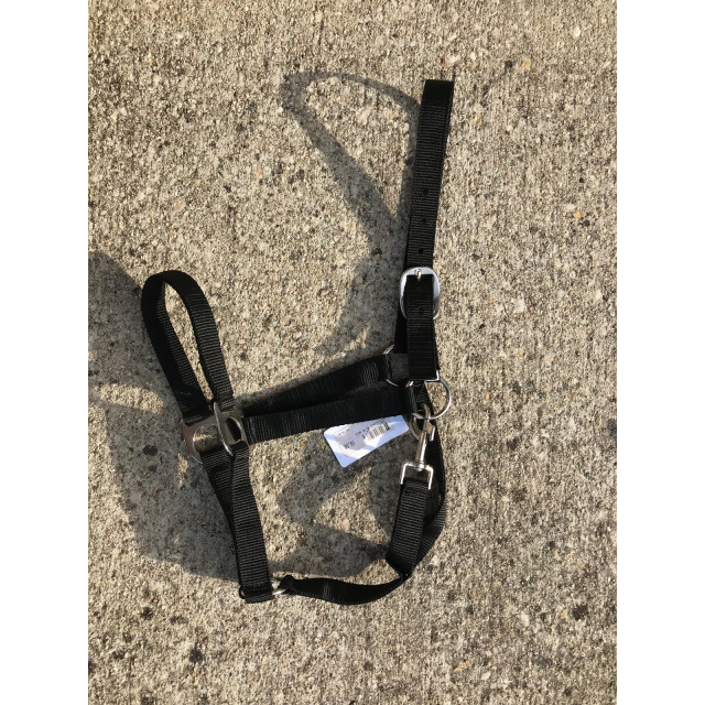 Licol et longe noir tCOB