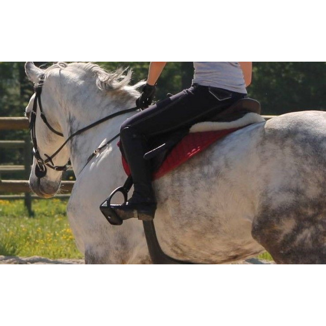 Chaps Dy'on court (pour mollet fin)