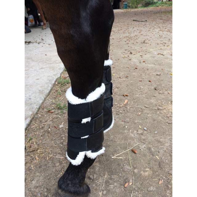 Guêtres fermées Time Rider