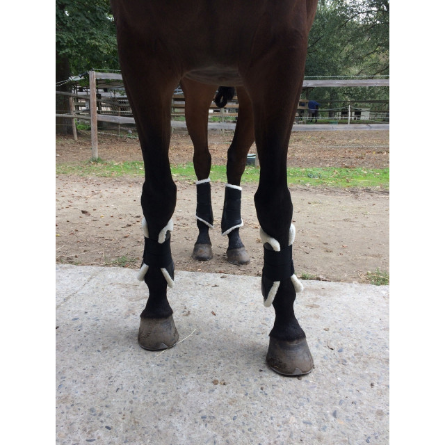 Guêtres ouvertes Time Rider