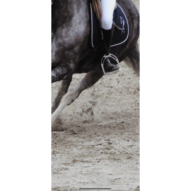 Étrier Jin Stirrup en aluminium