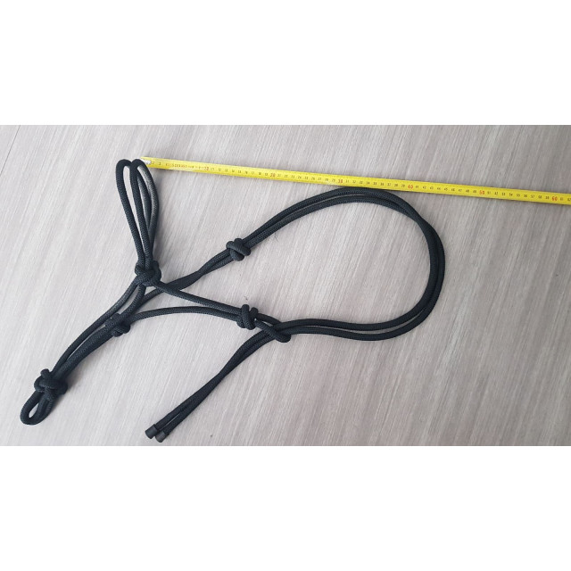 Licol éthologique