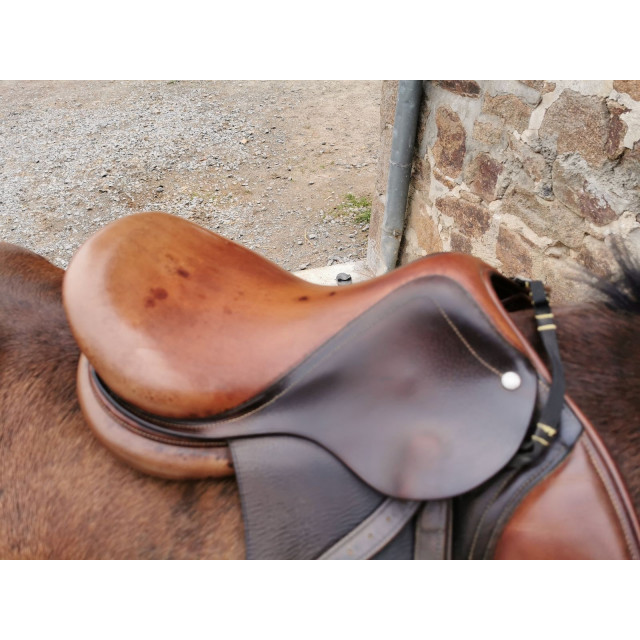 Selle antares 15, 5 pouces