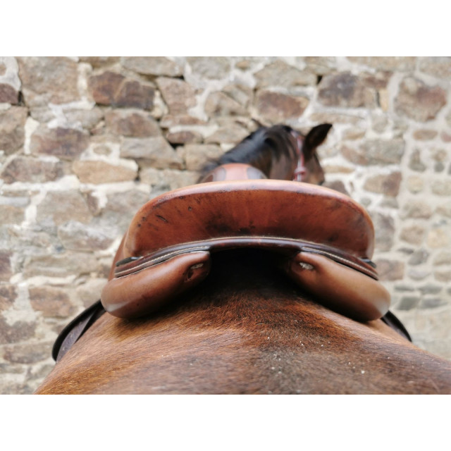 Selle antares 15, 5 pouces