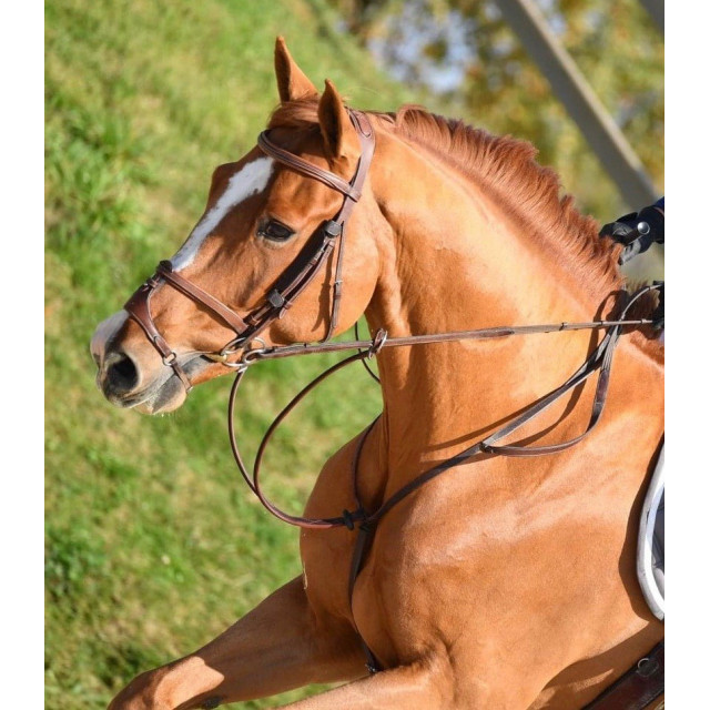 Martingale Devoucoux Hunter