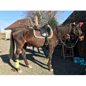 ensemble paddock sport