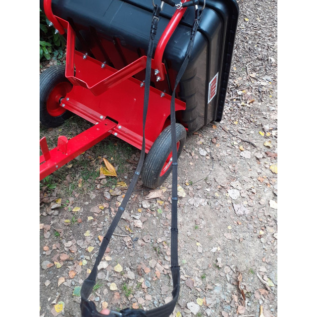 Bridon complet+rênes cheval