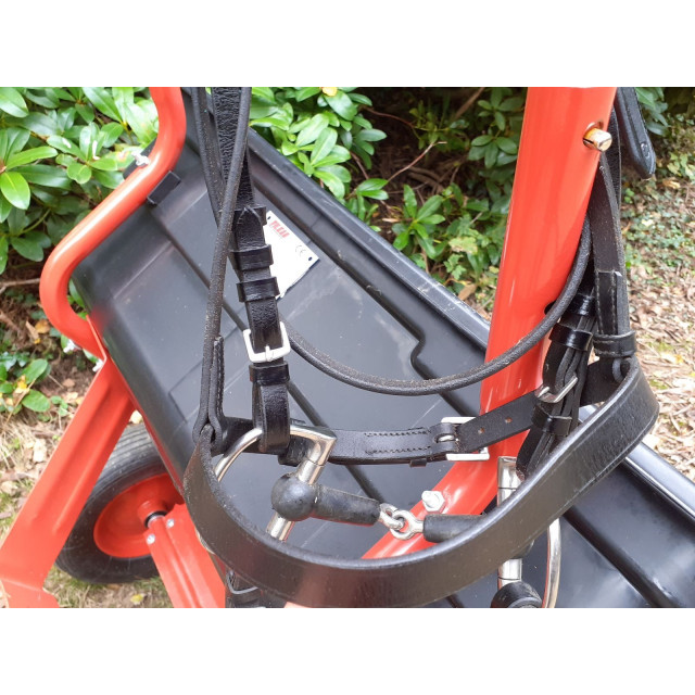 Bridon complet+rênes cheval