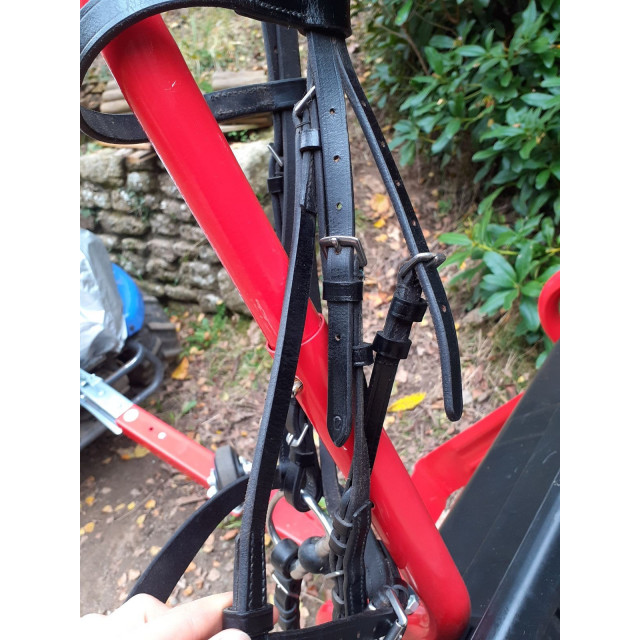 Bridon complet+rênes cheval