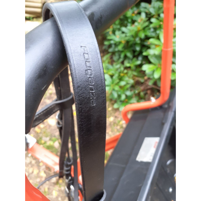 Bridon complet+rênes cheval