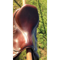 Selle cwd