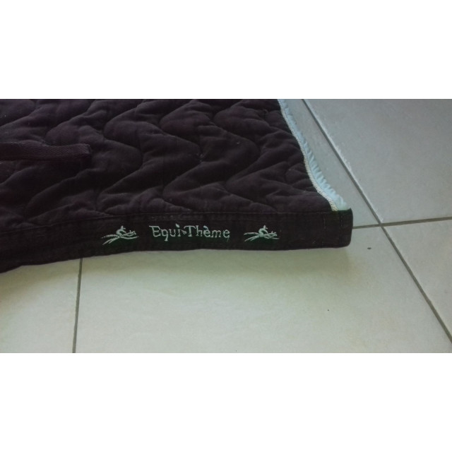 Tapis equitheme