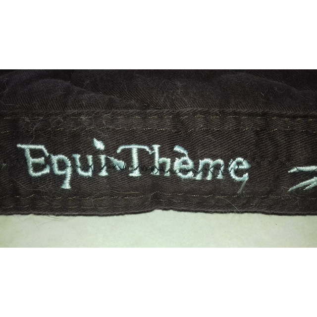 Tapis equitheme
