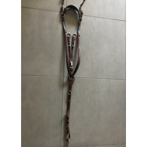 Martingale à anneaux Antarès