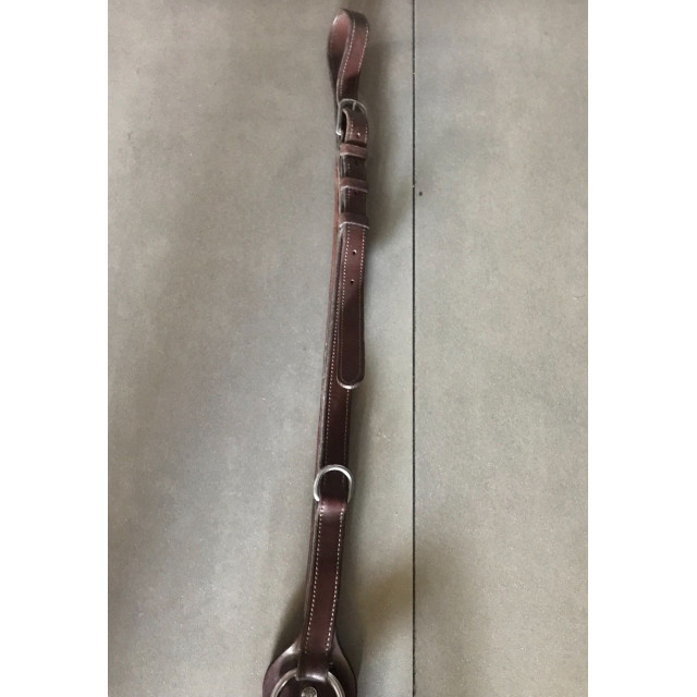 Martingale à anneaux Antarès