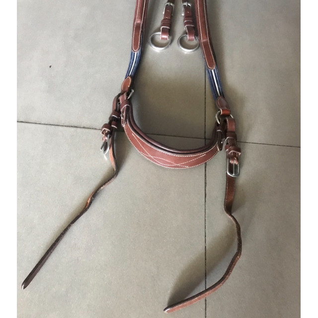 Martingale à anneaux Antarès