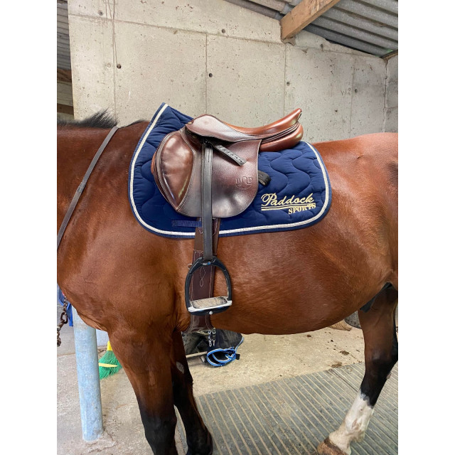 Tapis Paddock Sport bleu