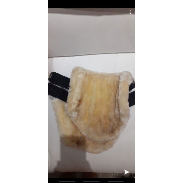 Protection de dressage