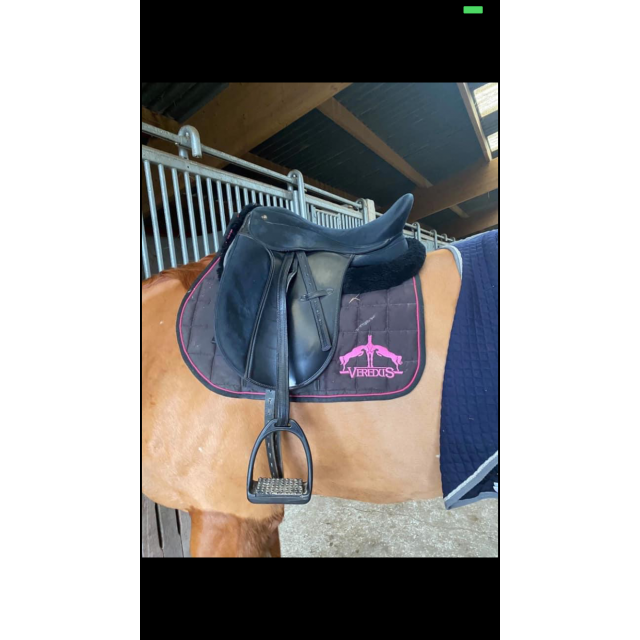 Selle de dressage