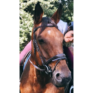 Bridon norton surpiqure