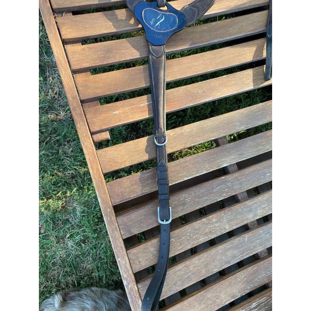 Collier de chasse Antares