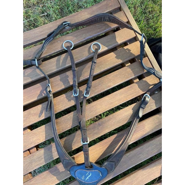 Collier de chasse Antares