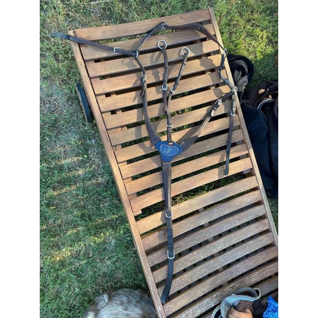 Collier de chasse Antares