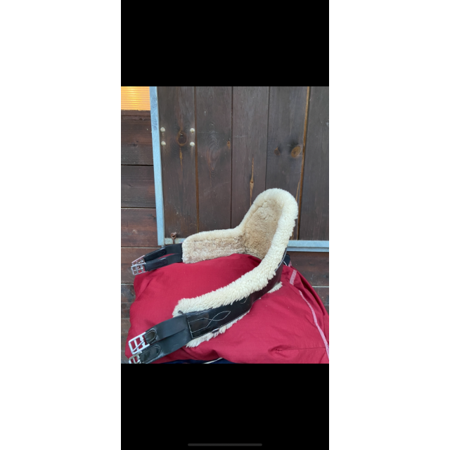 Sangle bavette Norton Pro Doublée mouton