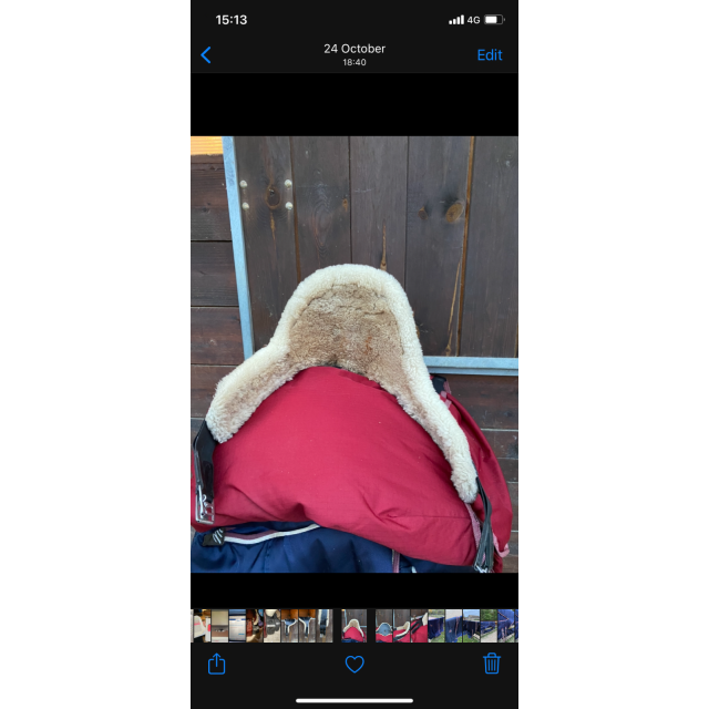 Sangle bavette Norton Pro Doublée mouton