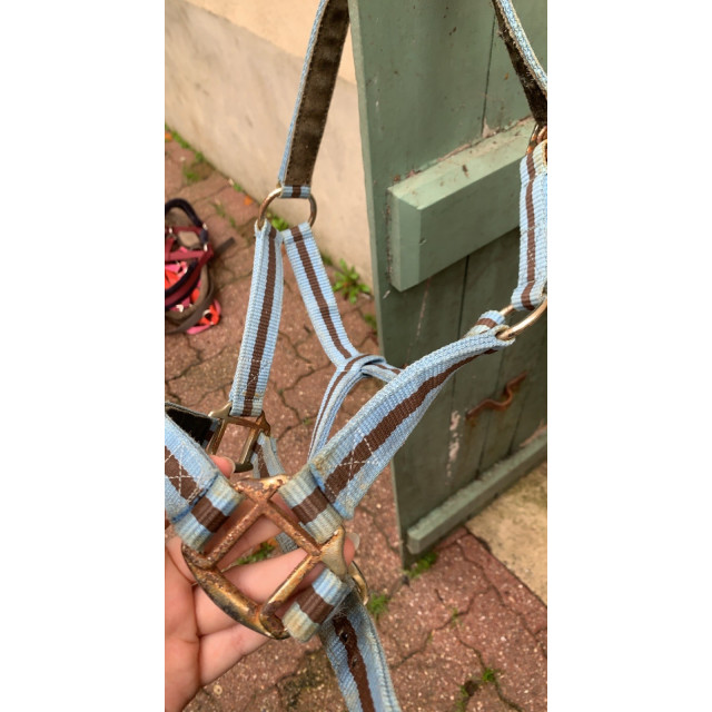 Licol taille poney