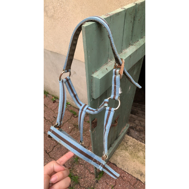 Licol taille poney
