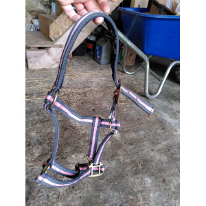 Licol gris et rose - taille poney - très bon état