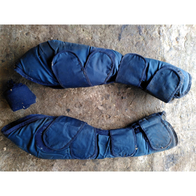 Protections de transport postérieure taille poney + bande de queue / travail
