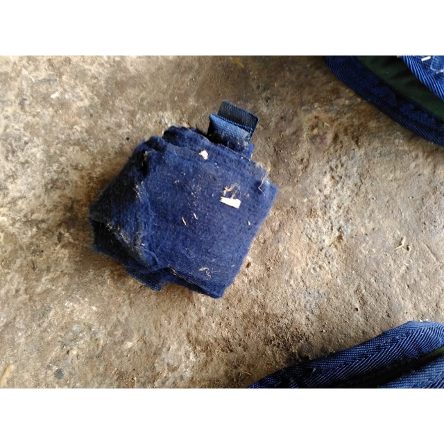 Protections de transport postérieure taille poney + bande de queue / travail
