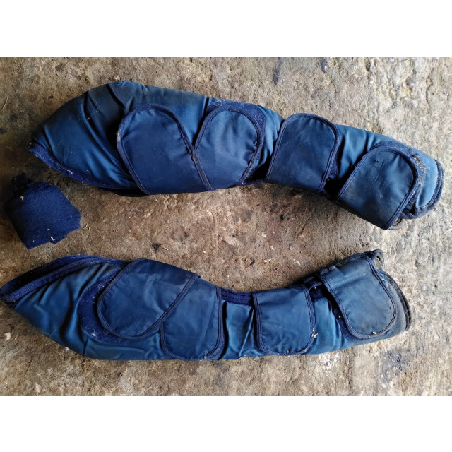 Protections de transport postérieure taille poney + bande de queue / travail