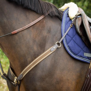 Collier de chasse HFI