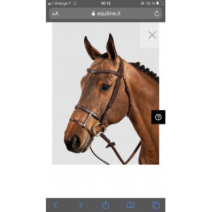 FILET EQUILINE_Double nouseband bridle