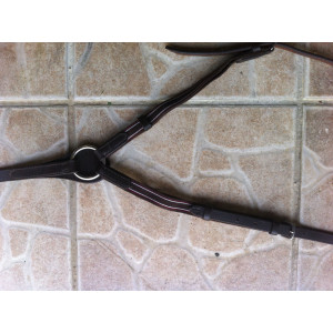 collier de chasse FS