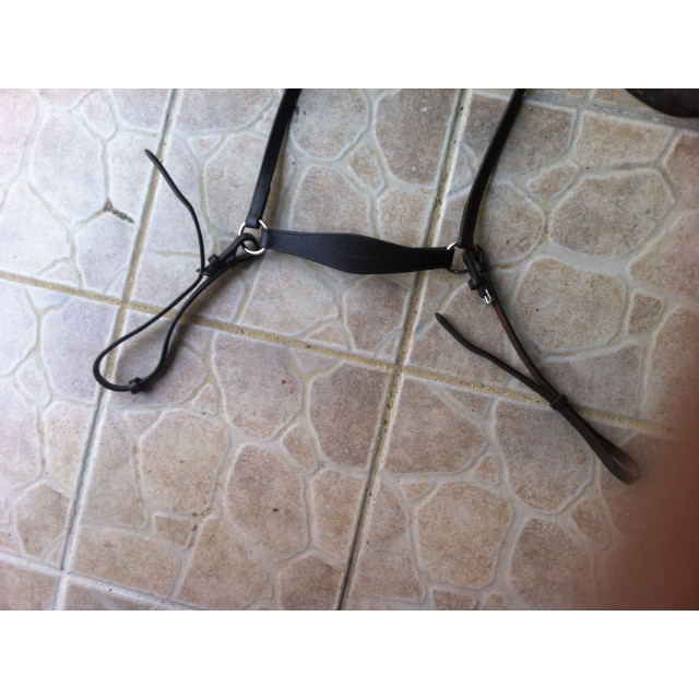 collier de chasse FS