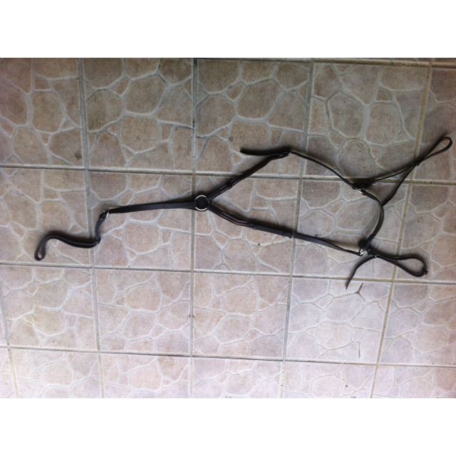 collier de chasse FS