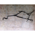 collier de chasse FS