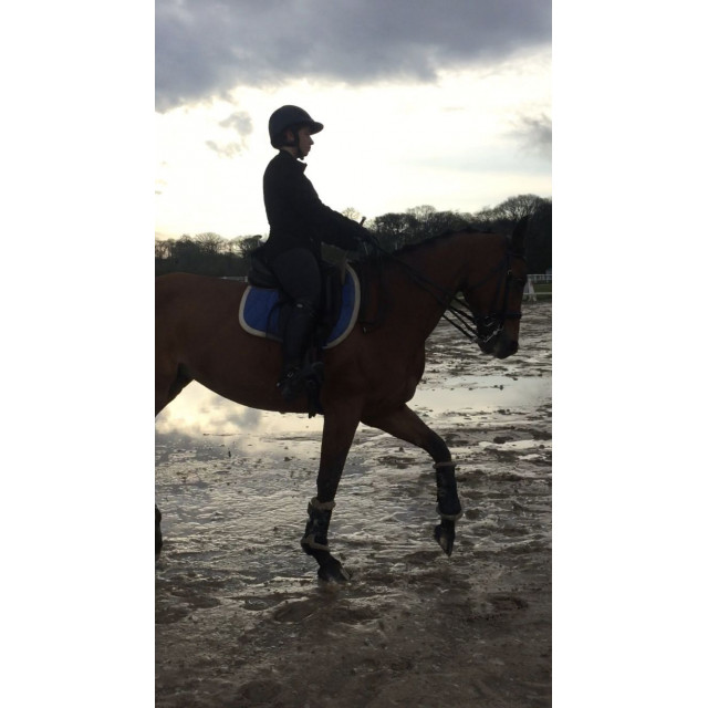 Selle dressage CWD