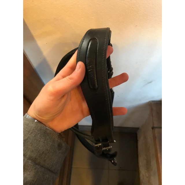 Bridon +renes fouganza